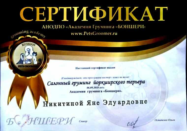 sertifikat-12 сертификат-12