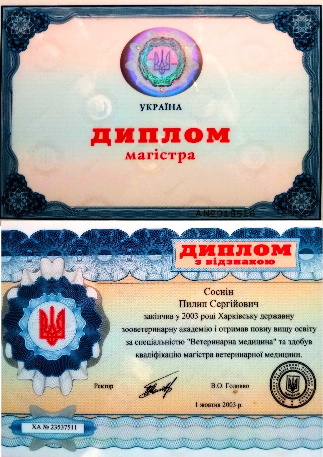 diplom-1 Диплом-1