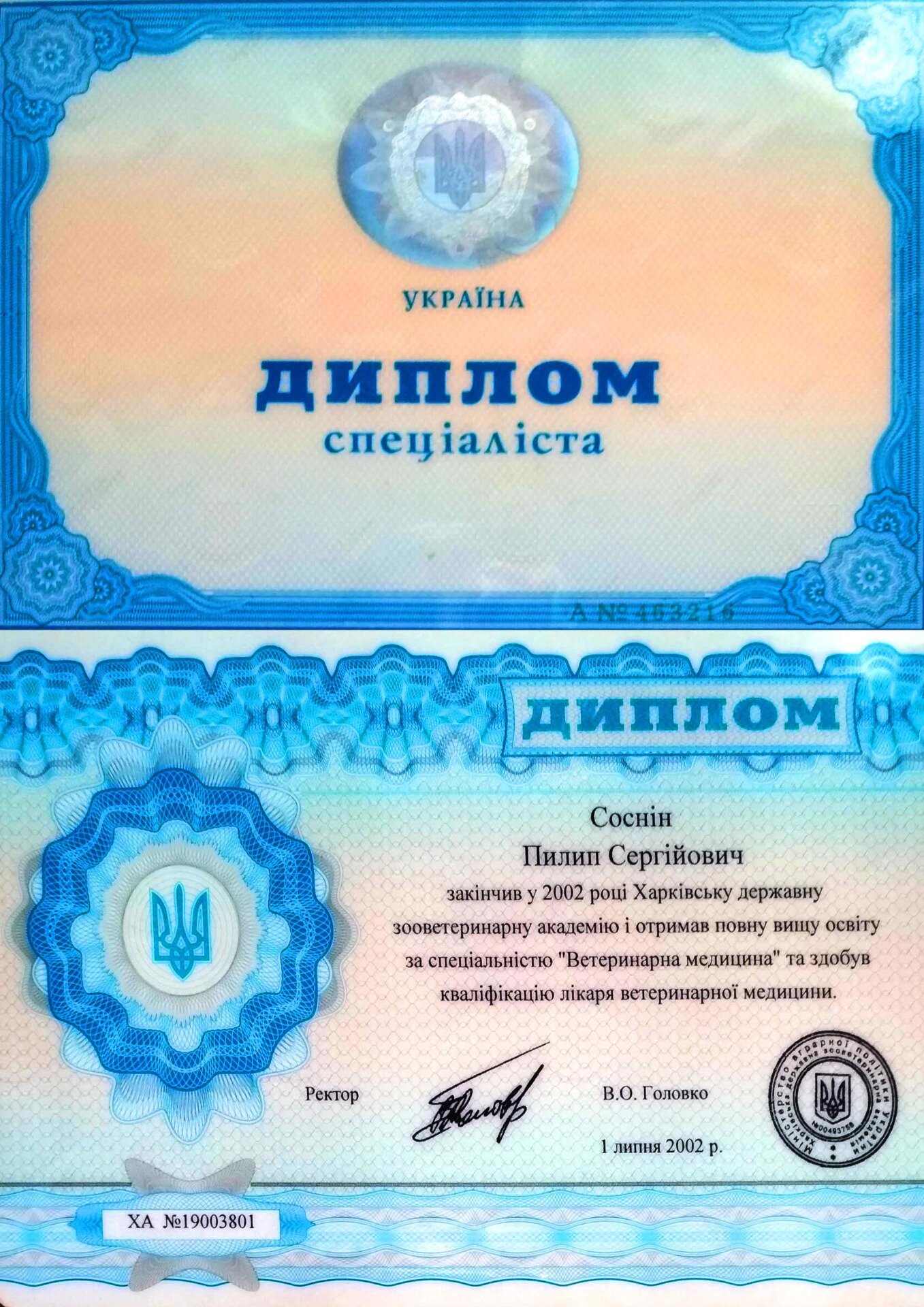 diplom-2 Диплом-2