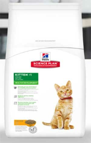 Хиллс для котят