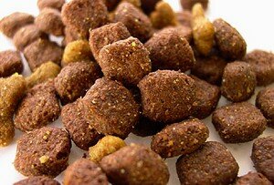 сухой корм для кошек