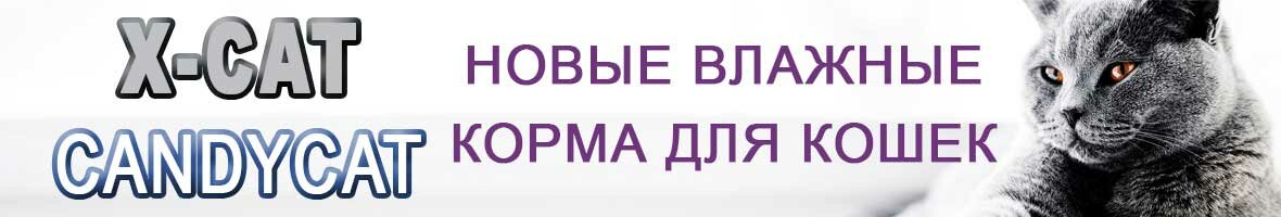 Новые корма для кошек