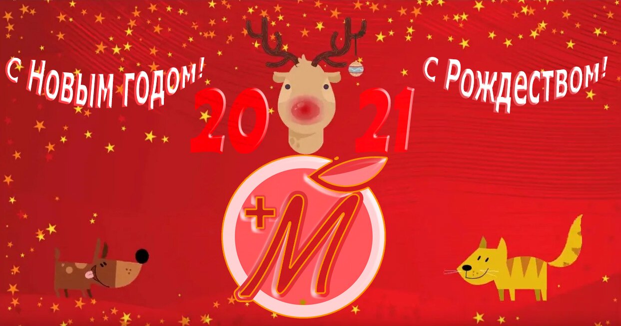 mandarin-plus-2021 mandarin-plus-2021