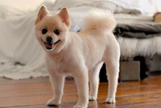 Стильный чувак