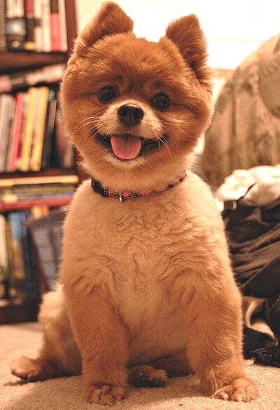 Простая стрижка