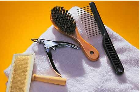 инструменты для груминга кошки