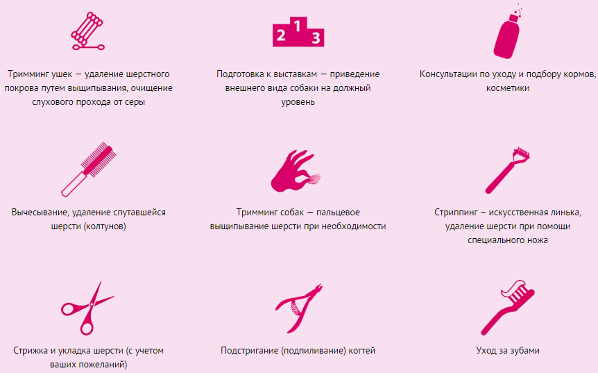 дополнительные услуги грумера