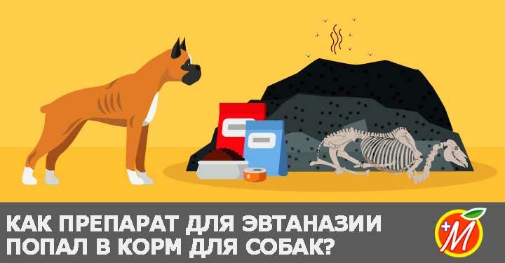 корм для собак с ядом