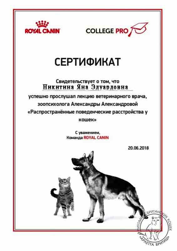 sertifikat-14 сертификат-14