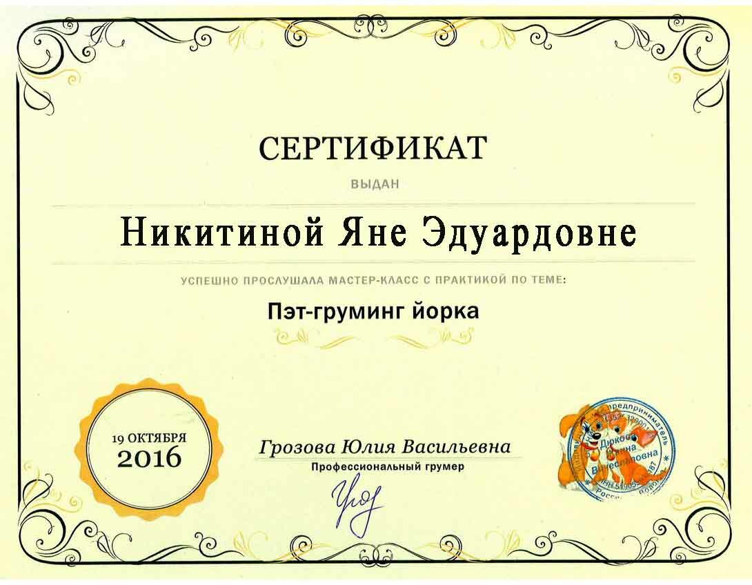 sertifikat-11 сертификат-11