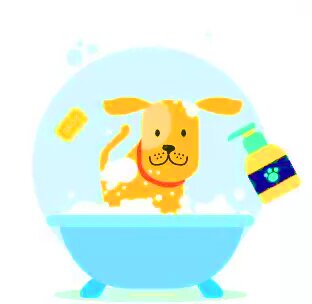 Мойка собак