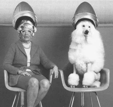 Уход за шерстью