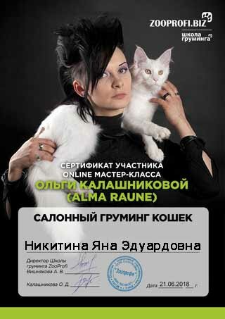 sertifikat-8 сертификат-8