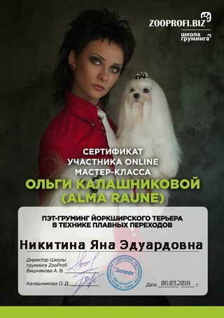 sertifikat-6 сертификат-6