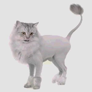 Стрижка кошек подо леву